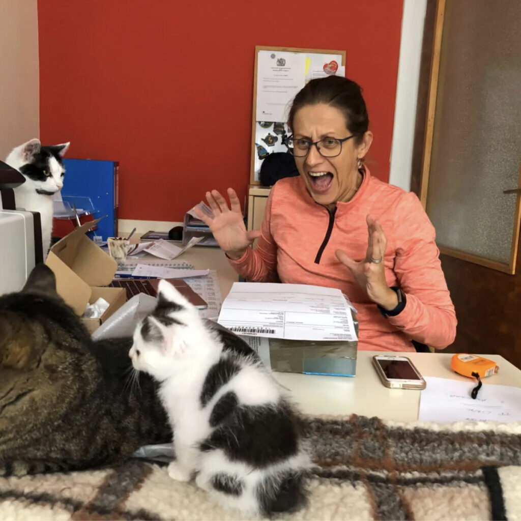 Jana and cats in the office